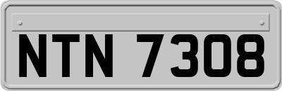 NTN7308