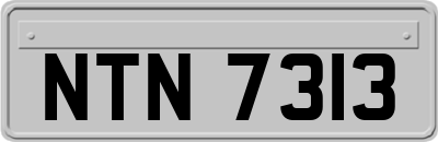 NTN7313