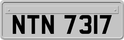 NTN7317