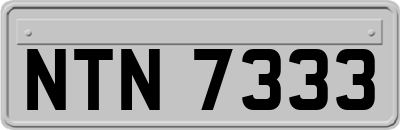 NTN7333
