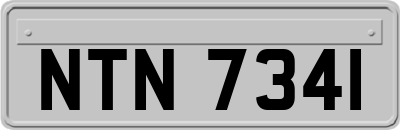 NTN7341