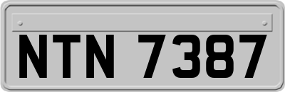 NTN7387