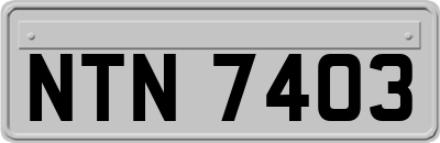 NTN7403