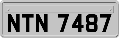 NTN7487