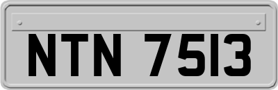 NTN7513