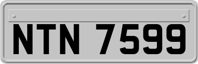NTN7599