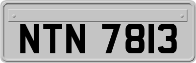 NTN7813