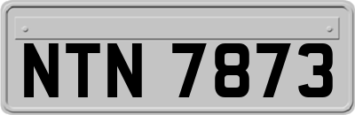 NTN7873