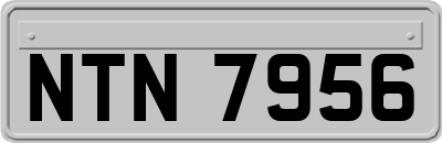 NTN7956