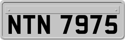 NTN7975