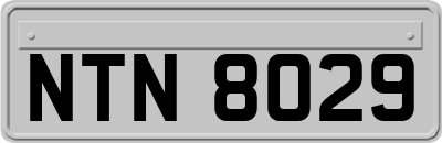 NTN8029