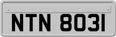 NTN8031