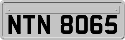 NTN8065