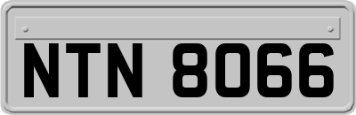 NTN8066