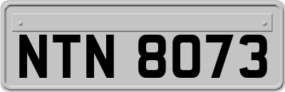 NTN8073