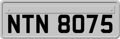 NTN8075