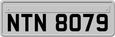 NTN8079