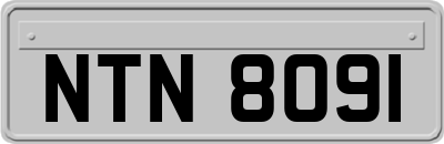 NTN8091