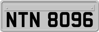 NTN8096