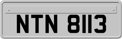 NTN8113