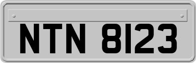 NTN8123
