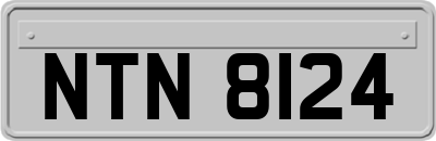 NTN8124