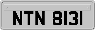 NTN8131