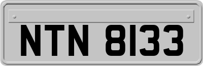 NTN8133