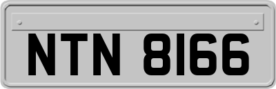NTN8166
