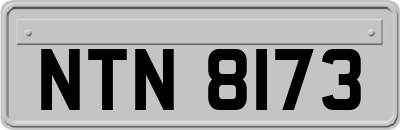 NTN8173