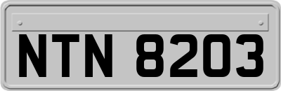 NTN8203