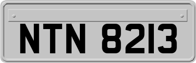 NTN8213
