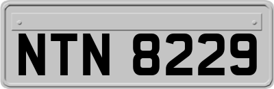 NTN8229