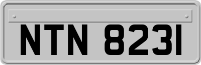 NTN8231