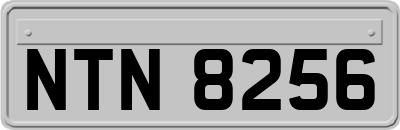 NTN8256