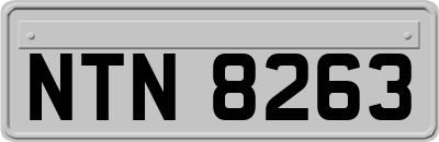NTN8263