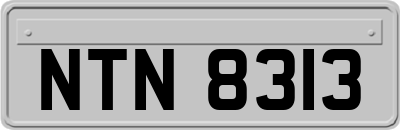 NTN8313