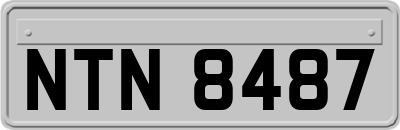 NTN8487