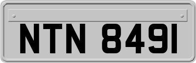 NTN8491