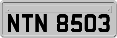 NTN8503