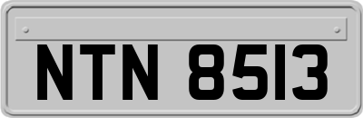 NTN8513