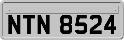 NTN8524