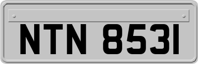 NTN8531