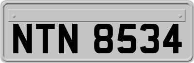 NTN8534