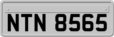 NTN8565