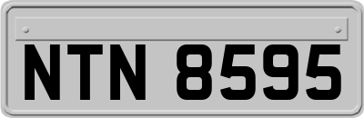 NTN8595