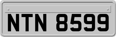 NTN8599