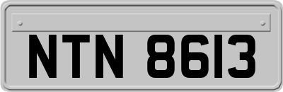 NTN8613