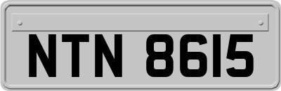 NTN8615