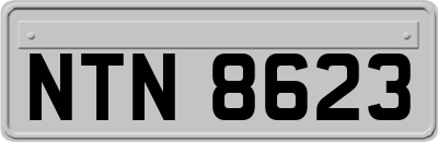 NTN8623